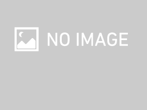 （おまけ）Auromere（オーロメア）　フレッシュミント歯磨き粉